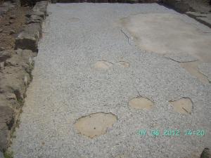 thumbs/bild1659.jpg