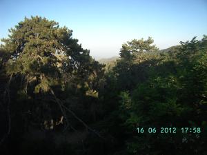 thumbs/bild2356.jpg