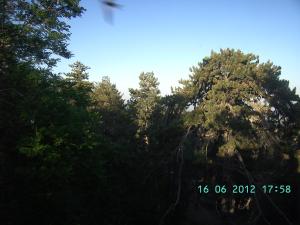 thumbs/bild2357.jpg