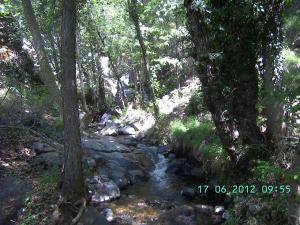 thumbs/bild2403.jpg