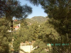 thumbs/bild2479.jpg