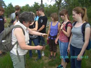 thumbs/bild7219.jpg