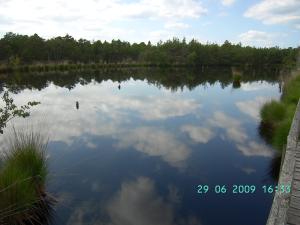 thumbs/bild7228.jpg