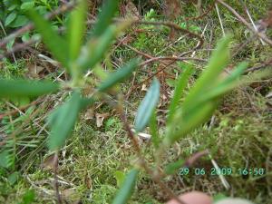 thumbs/bild7235.jpg