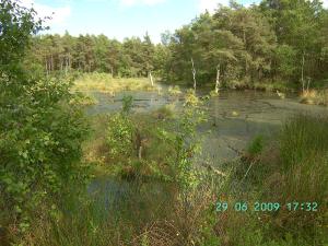 thumbs/bild7244.jpg