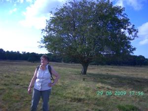 thumbs/bild7252.jpg