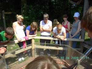 thumbs/bild7296.jpg