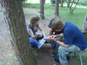 thumbs/bild7625.jpg