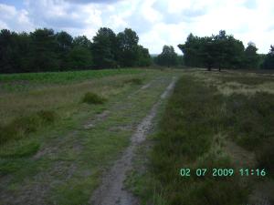 thumbs/bild7633.jpg