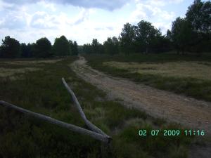 thumbs/bild7634.jpg