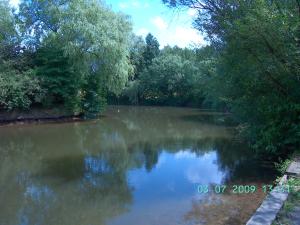 thumbs/bild7752.jpg