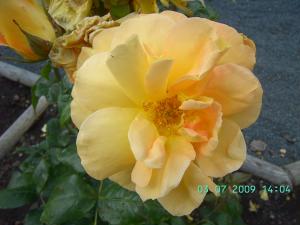 thumbs/bild7779.jpg